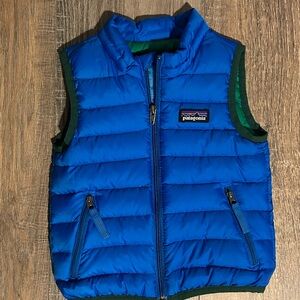 Patagonia Kids Blue and Green Puffer Vest